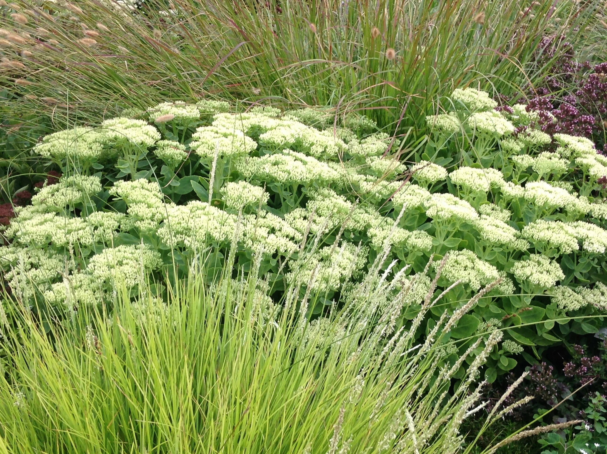 Gartengestaltung Gärten Site